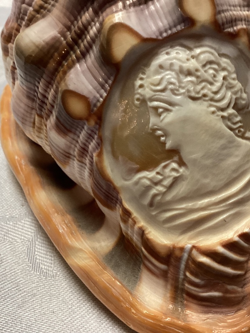 Cameo carved sea shall Uniqie must see